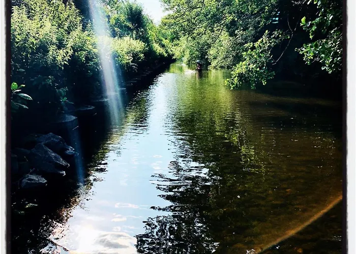 Appartement Modern Ground Floor With Free Parking Very Near Centre Ripon