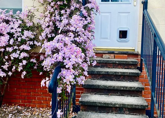 Modern Ground Floor With Free Parking Very Near Centre
